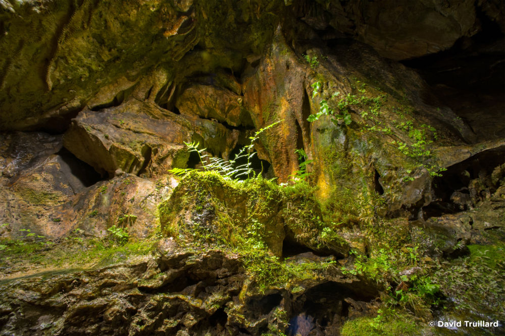 fromelennes, office de tourisme, la grotte de nichet