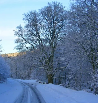 Que faire en Val d’Ardenne pendant la saison hivernale ?