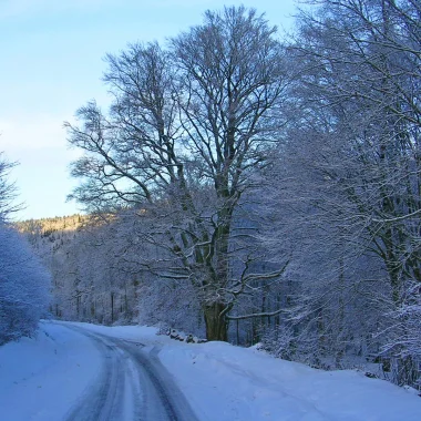 Que faire en Val d’Ardenne pendant la saison hivernale ?