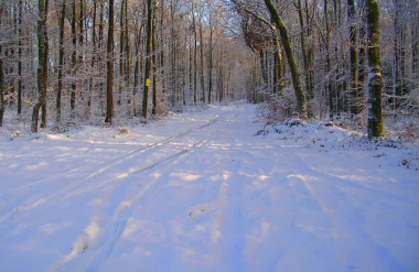 Que faire en Val d’Ardenne pendant la saison hivernale ?