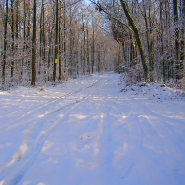 Que faire en Val d’Ardenne pendant la saison hivernale ?