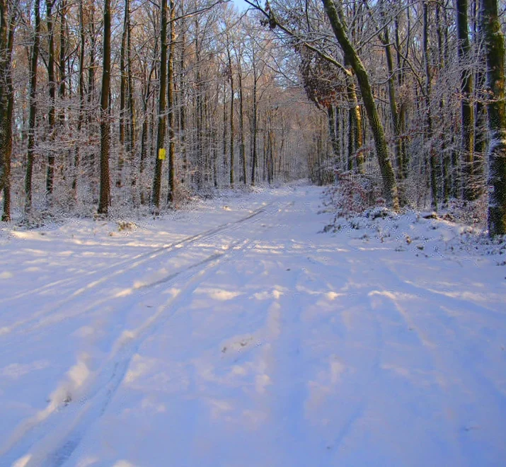 Que faire en Val d’Ardenne pendant la saison hivernale ?