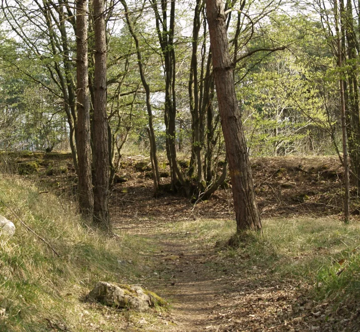 La réserve naturelle nationale de la pointe de Givet