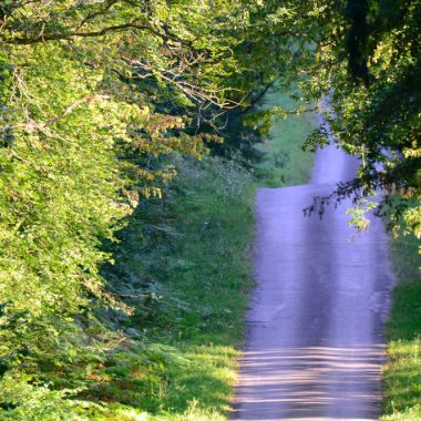 Séjour moto, la Dolce Vita Ardennaise